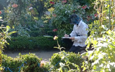 Clase de dibujo en el Real Jardín Botánico de Madrid