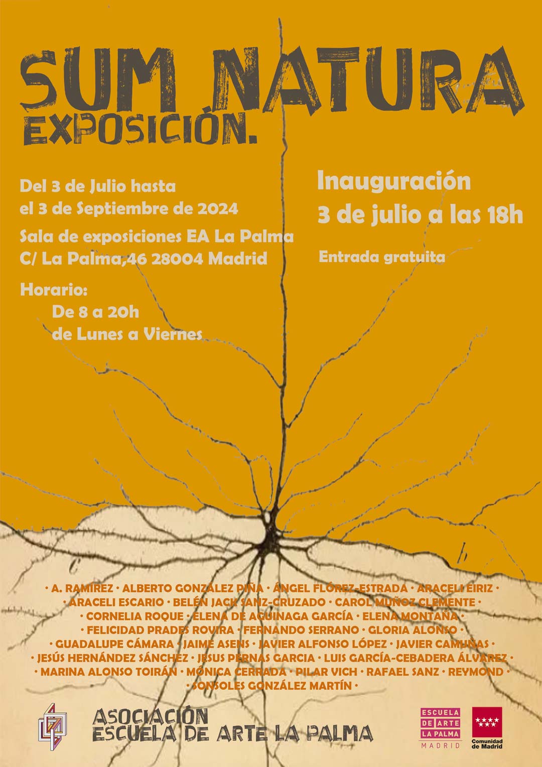 Asociación Antiguos Alumnos EA La Palma